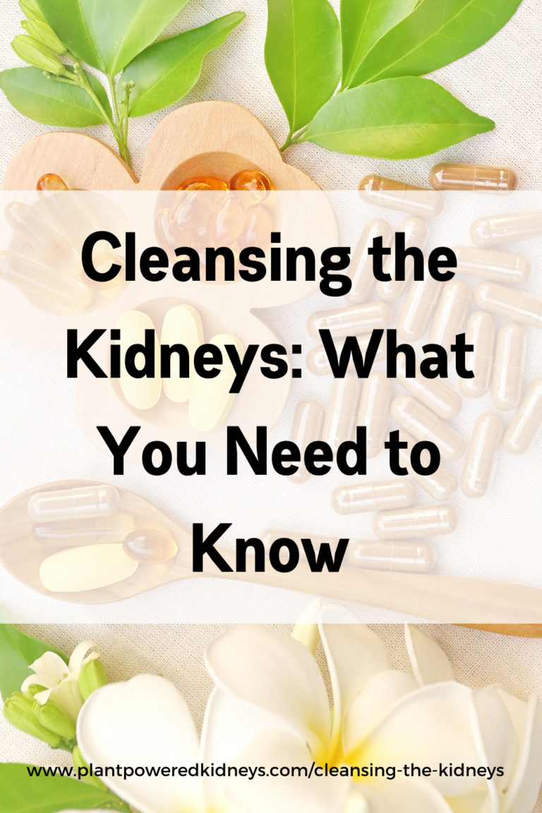Cleansing the Kidneys What You Need to Know