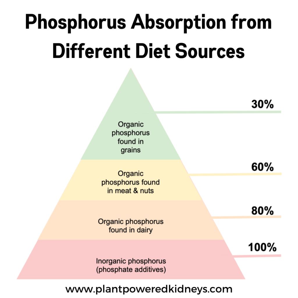 Organic phosphorus absorption from grains: 30%. Organic phosphorus from meats and nuts: 60%. Organic phosphorus from dairy: 80%. Inorganic phosphorus (aka phosphate additives): 100%.