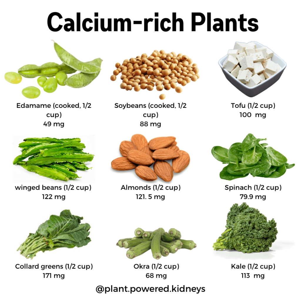 List of Calcium-rich plants