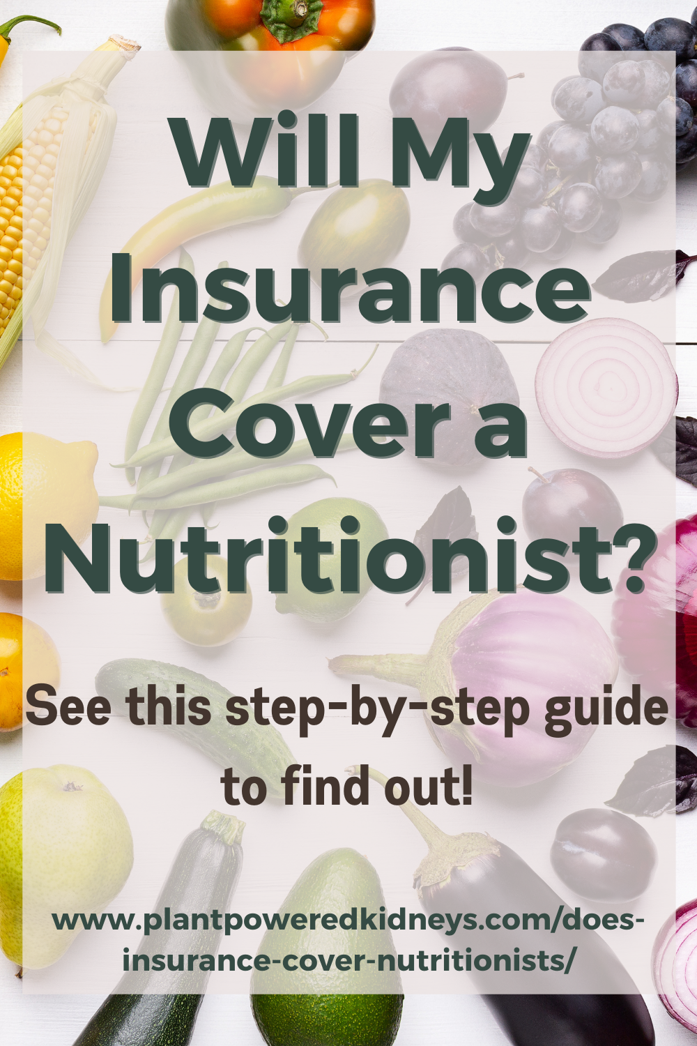 Renal Dietitian Nutritionist What We Do, Who We Serve & How to Find One