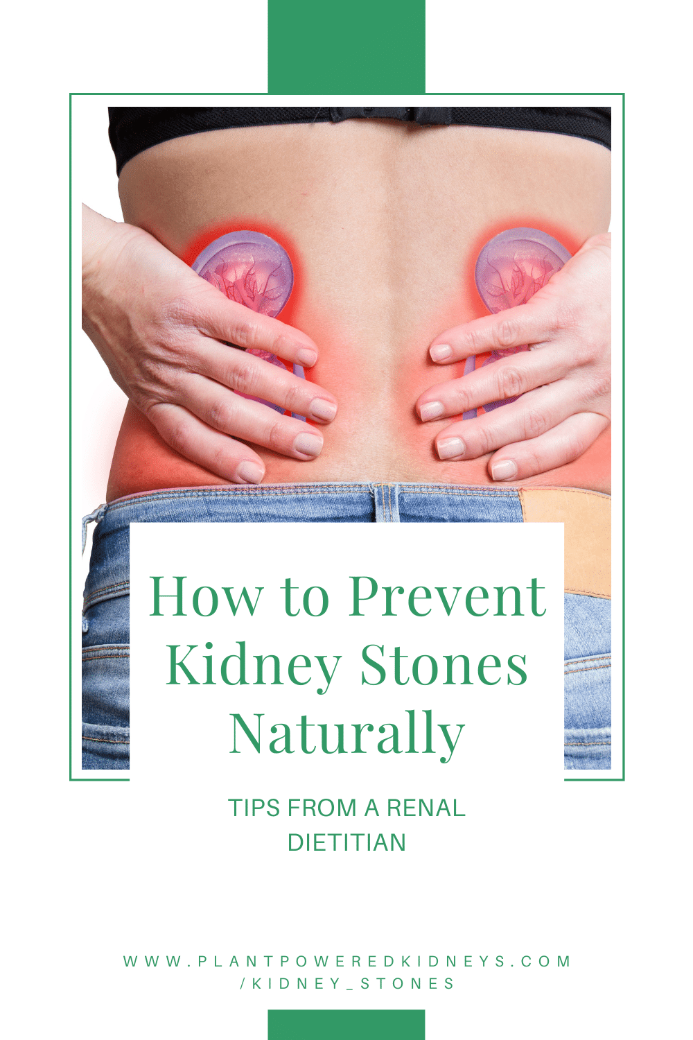 Apple Cider Vinegar for Kidney Stones PlantPowered Kidneys Renal