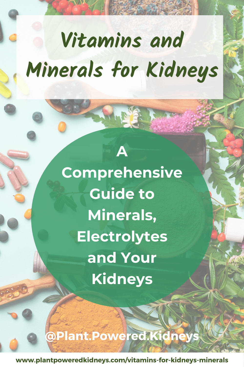 Electrolytes and Kidney Disease Sodium, Potassium and More!