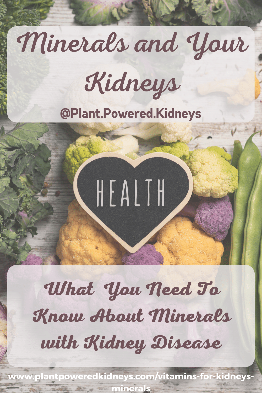 Electrolytes and Kidney Disease Sodium, Potassium and More!