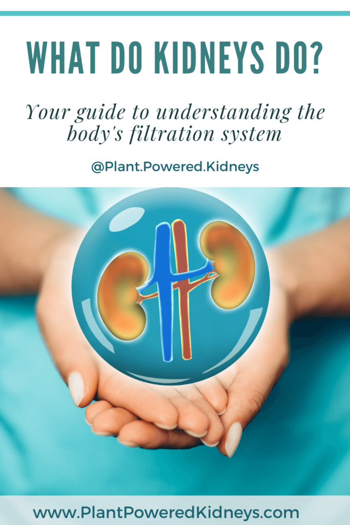Pin this for later for a reminder of how important your kidneys are!