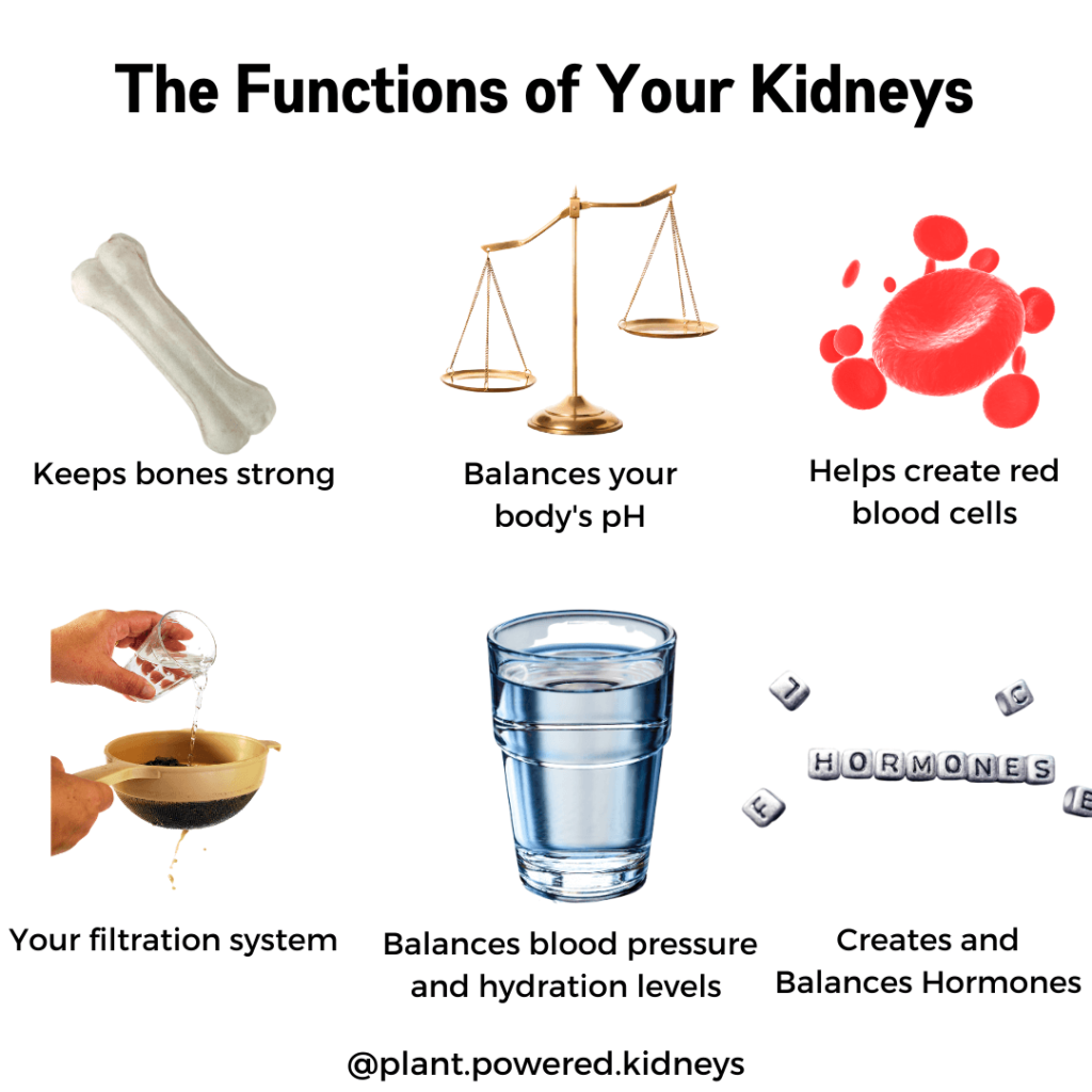 Do you know all of the great things your kidneys do?