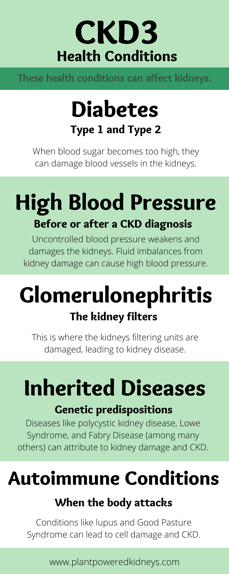 Health Conditions that can affect kidneys
1) Diabetes type 1 and type 2. When blood sugar becomes too high, they can damage blood vessels in the kidneys.

2) High blood pressure. Uncontrolled blood pressure weakens and damages the kidneys. Fluid imbalances from kidney damage can cause high blood pressure.

3) Glomerulonephritis. This is where the kidneys filtering units are damaged, leading to kidney disease.

4) Inherited Diseases. Diseases like polycystic kidney disease, Lowe Syndrome, and Fabry Disease (among many others) can attribute to kidney damage and CKD.

5) Autoimmune Conditions. Conditions like lupus and Good Pasture Syndrome can lead to cell damage and CKD.
