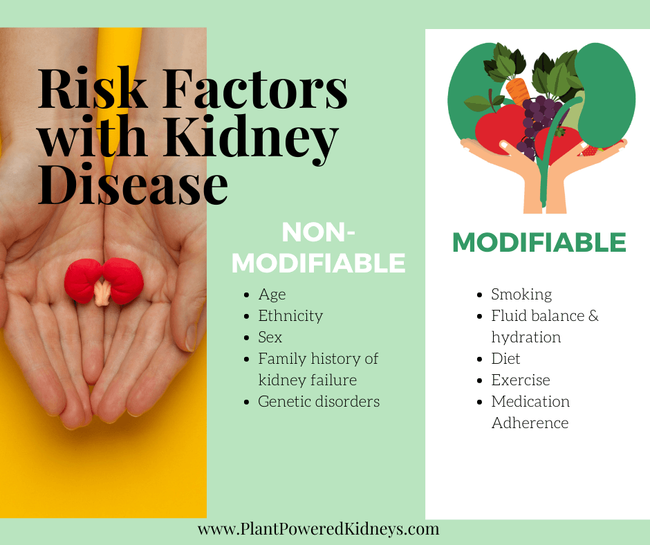 There are two types of risk factors for kidney disease: modifiable and non-modifiable. Modifiable are the ones to pay attention to as we can make changes. Examples include smoking, fluid balance, diet, exercise, and medication adherence. 

Non-modifiable, like our age, ethnicity, and family history of kidney issues, cannot be changed. Let's focus on the things we can control!