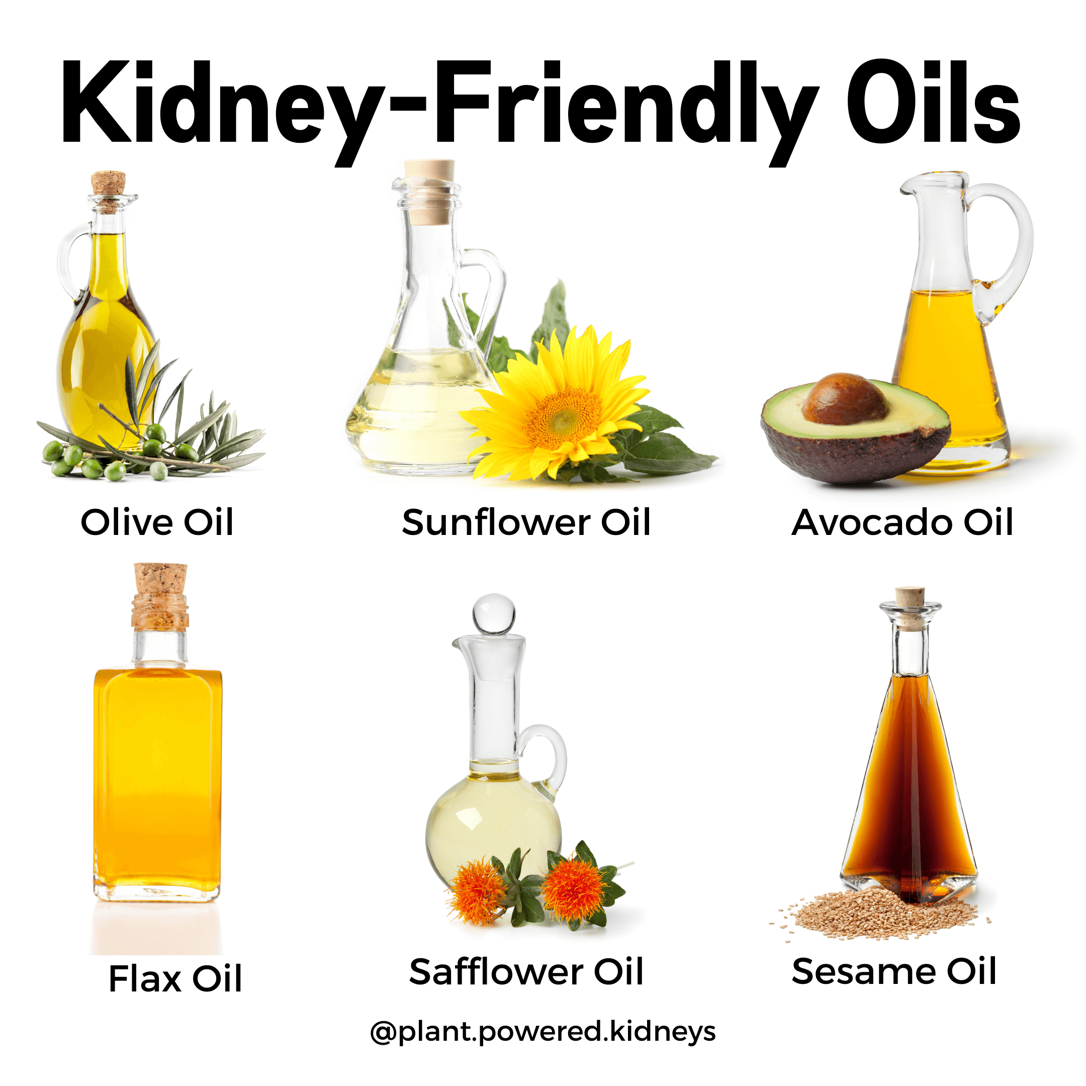 Renal Diabetic Diet What You Need to Know from a Renal Dietitian