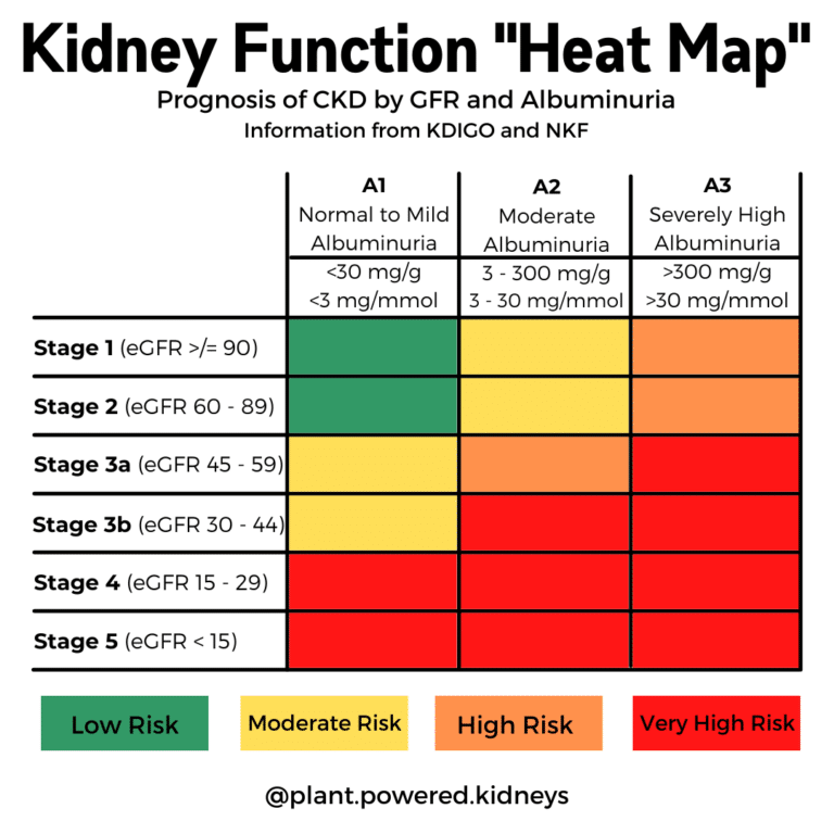 Renal Dietitian Nutritionist What We Do, Who We Serve & How to Find One