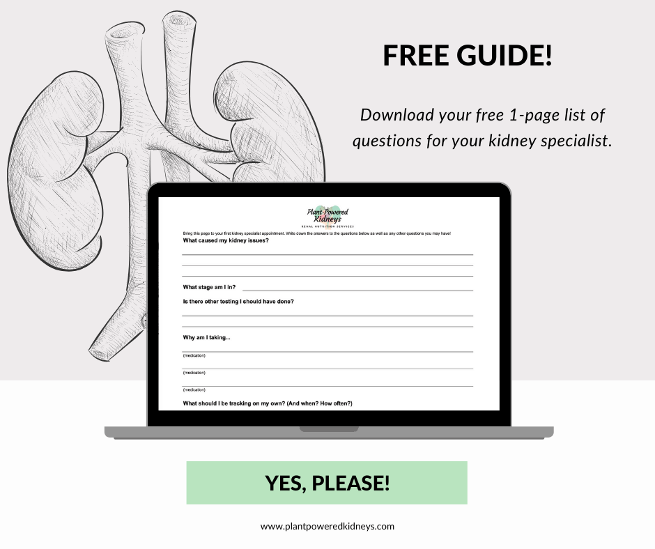 Free guide! Download your free 1-page list of questions for kidney specialist. No email required!