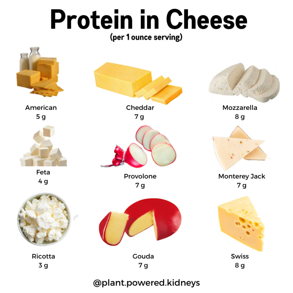 Protein in cheese (per ounce)
American: 5 grams
Cheddar: 7 grams
Mozzarella: 8 grams
Feta: 4 grams
Provolone: 7 grams
Monterey Jack: 7 grams
Ricotta: 3 grams
Gouda: 7 grams
Swiss: 8 grams