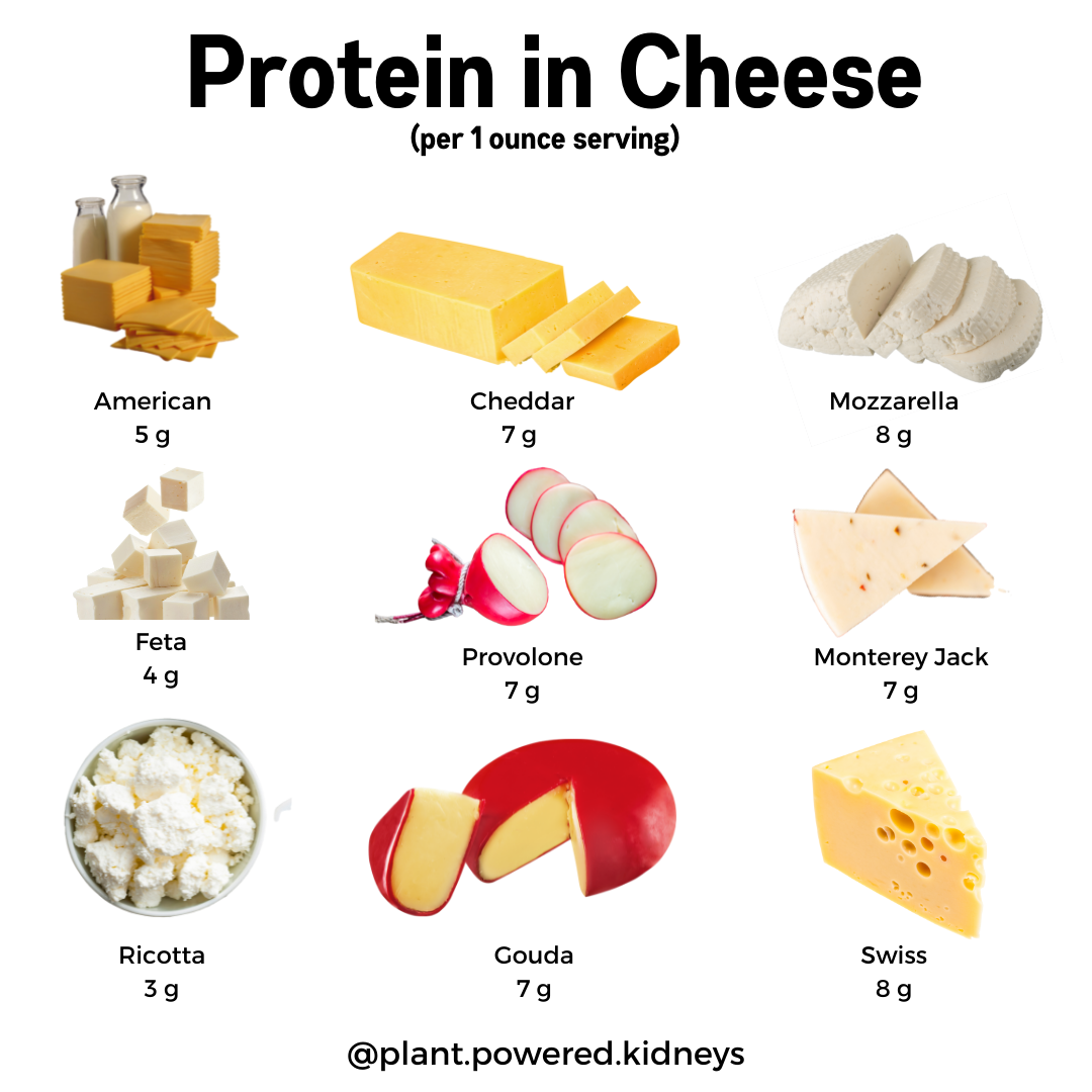 Is Cheese High In Potassium Protein Phosphorus And More 