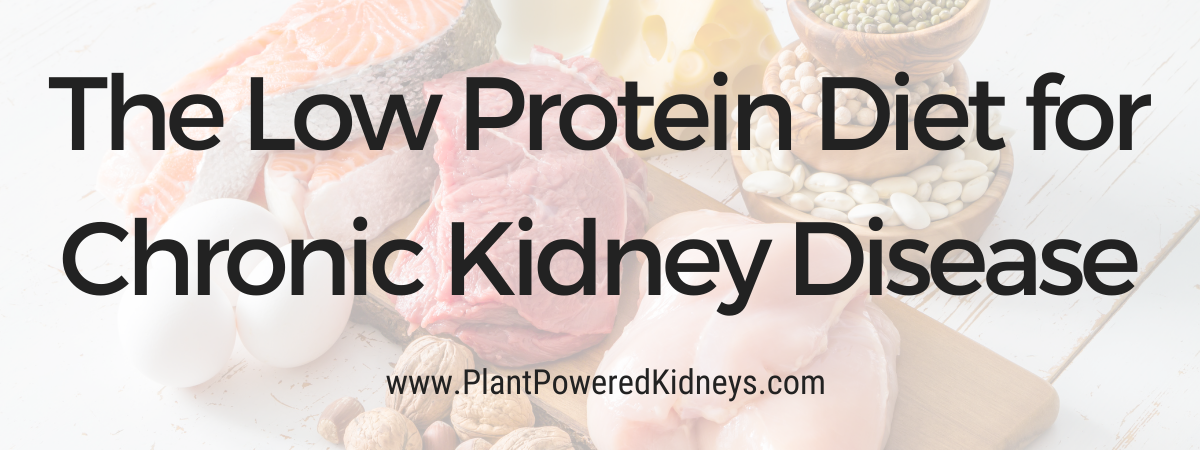 The Low Protein Diet For Kidney Disease Everything You Should Know