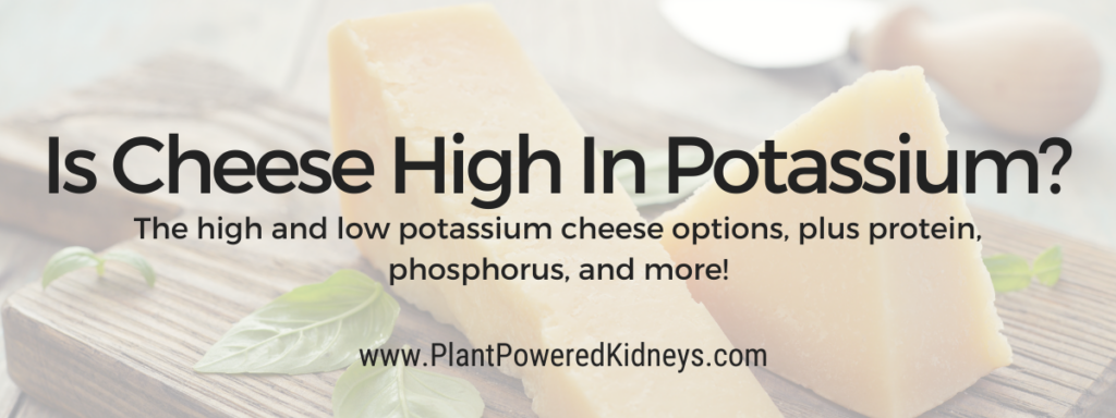 Is Cheese High in Potassium? Protein, Phosphorus, and more!