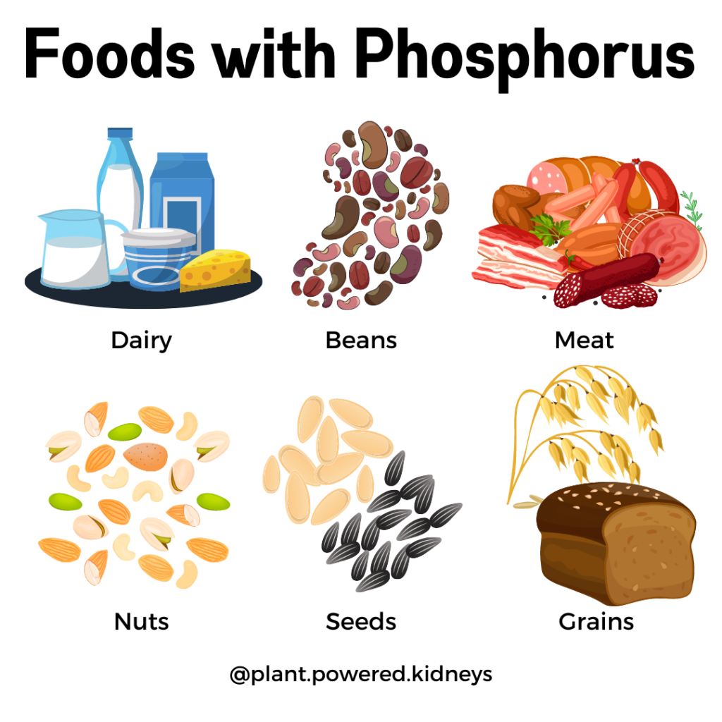 What Foods Are High In Phosphorus For Dogs