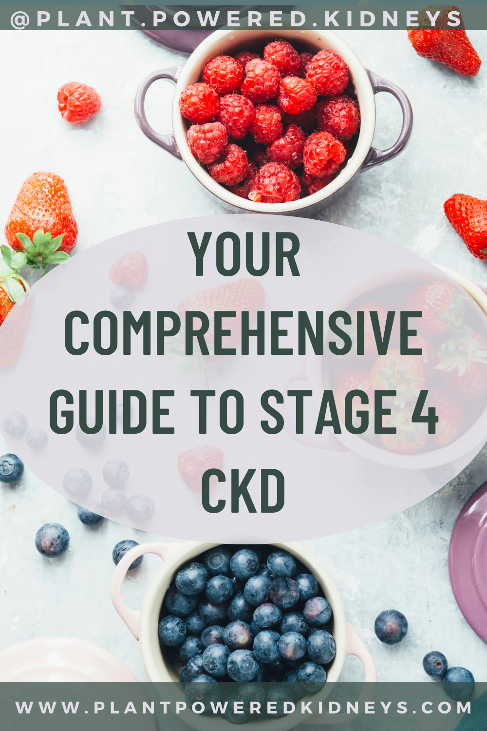 Potassium in Chickpeas & How to Enjoy Them in a Renal Diet