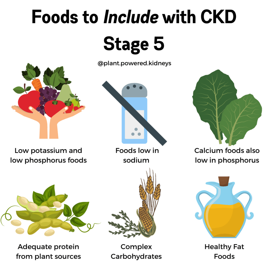 Stage 5 Kidney Disease The Ultimate Guide
