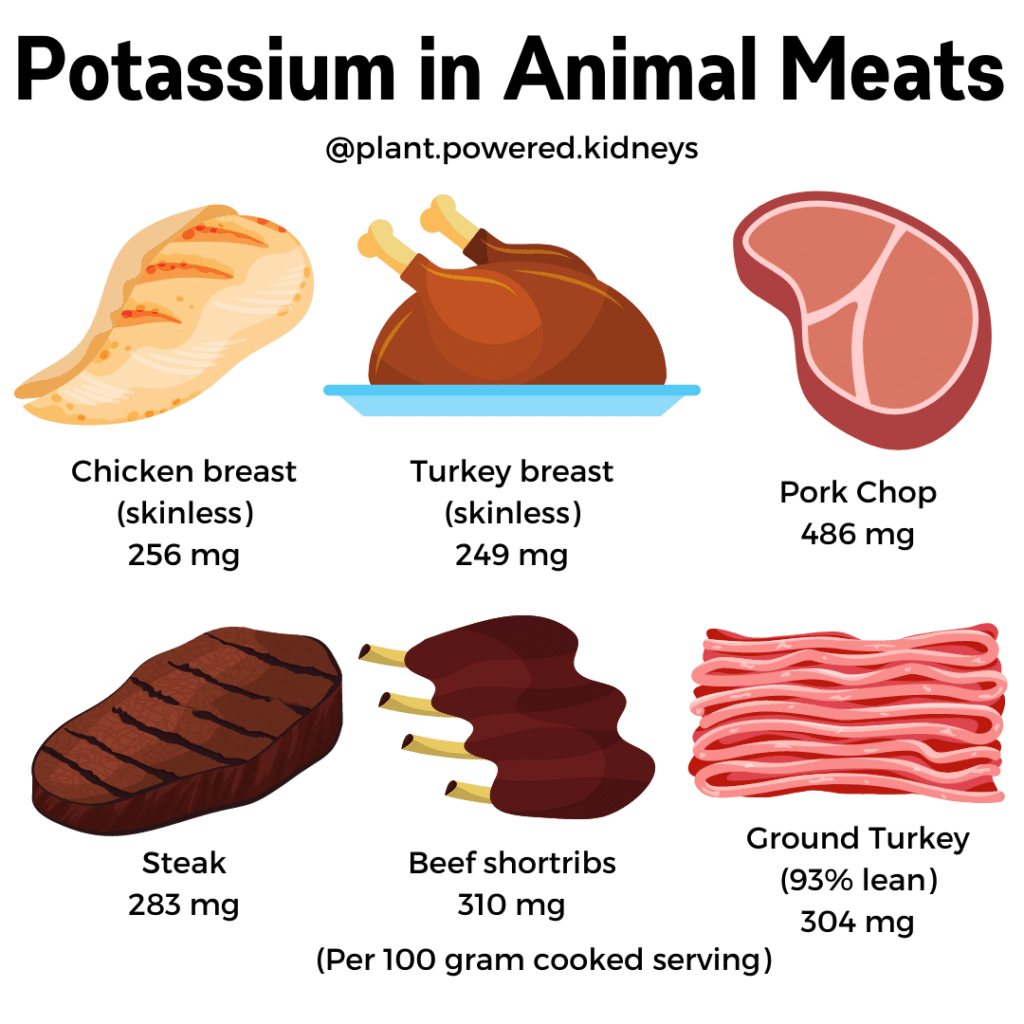 Potassium in animal meats (per 100 grams):
Chicken breast (256 milligrams)
Turkey breast (249 milligrams)
Pork chop (486 milligrams)
Steak (283 milligrams)
Beef shortribs (310 milligrams)
Ground turkey (304 milligrams)