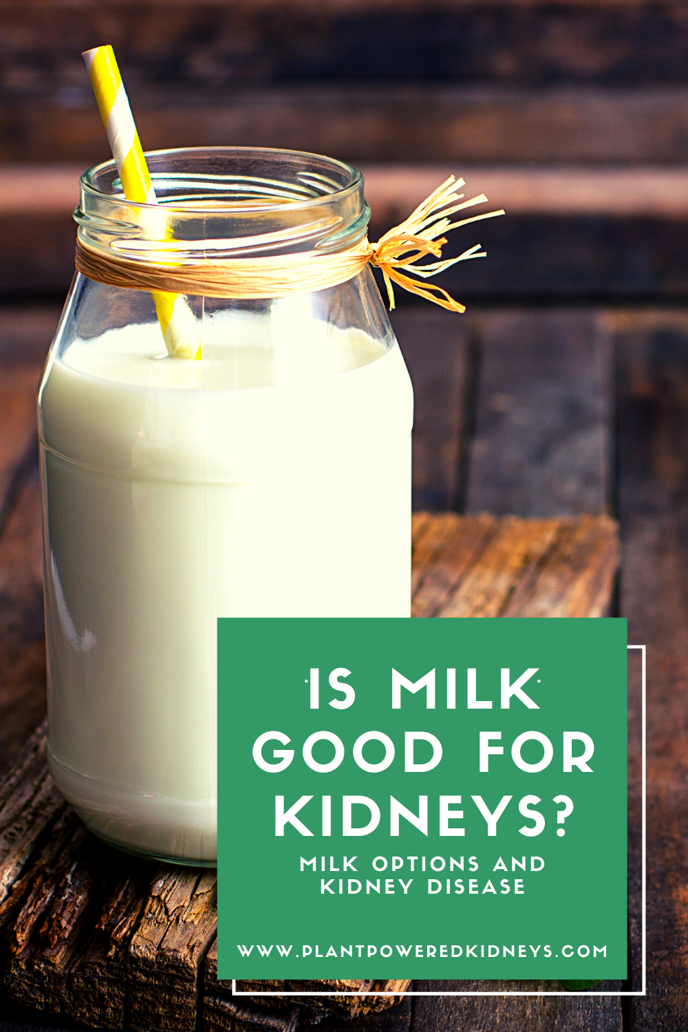 What Kind Of Milk Is Best For Kidney Disease at Sarah Pond blog