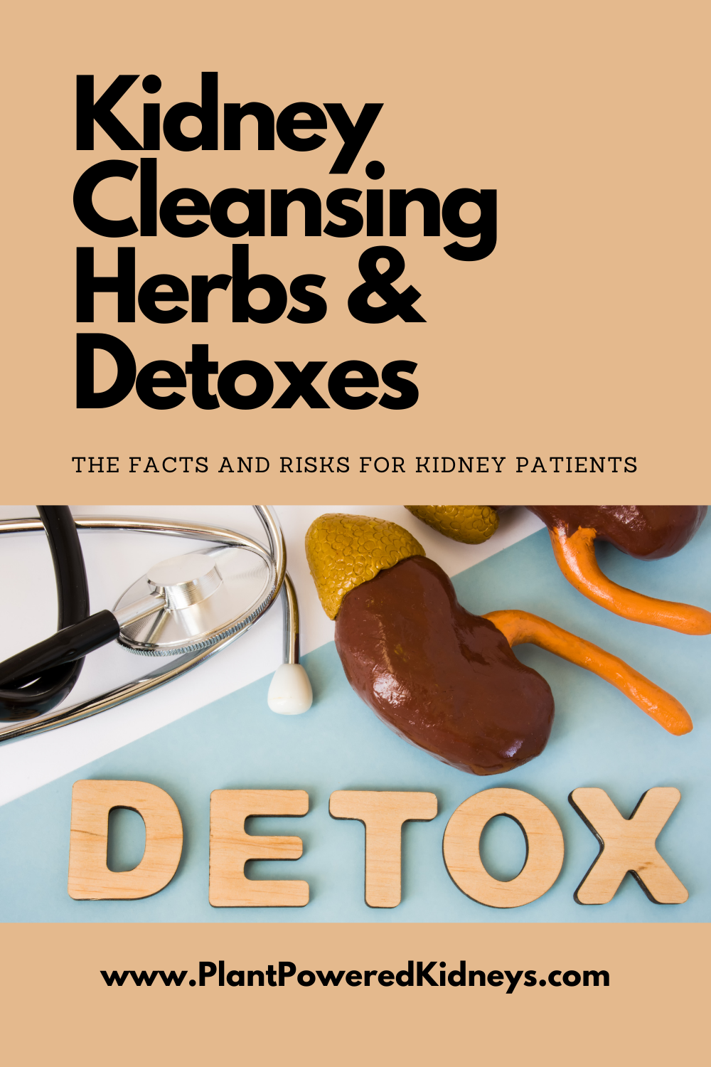 Kidney Cleansing Herbs & Detoxes The Dangers for Kidney Patients