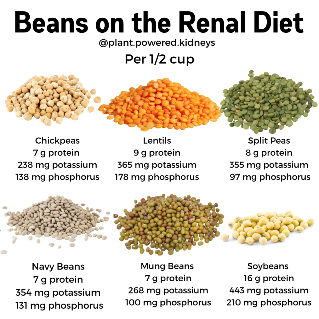 Visual comparison of chickpeas versus other beans and legumes. Includes protein, potassium, and phosphorus content of chickpeas, lentils, split peas, navy beans, mung beans, and soy beans.