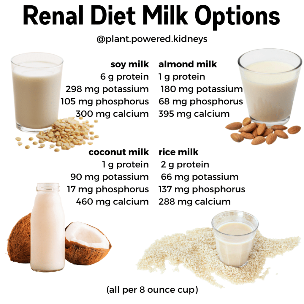 Renal Diet Milk Options
soy milk
6 g protein
 298 mg potassium
105 mg phosphorus
300 mg calcium

almond milk
1 g protein
180 mg potassium
68 mg phosphorus
395 mg calcium

coconut milk
1 g protein
90 mg potassium
17 mg phosphorus
460 mg calcium

rice milk
 2 g protein
 66 mg potassium
137 mg phosphorus
288 mg calcium