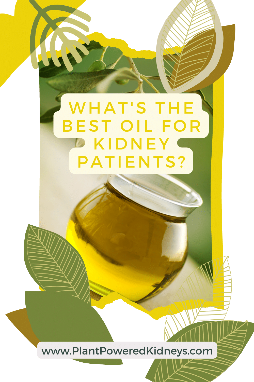 Which Oil is Best for a Kidney Patient? PlantPowered Kidneys