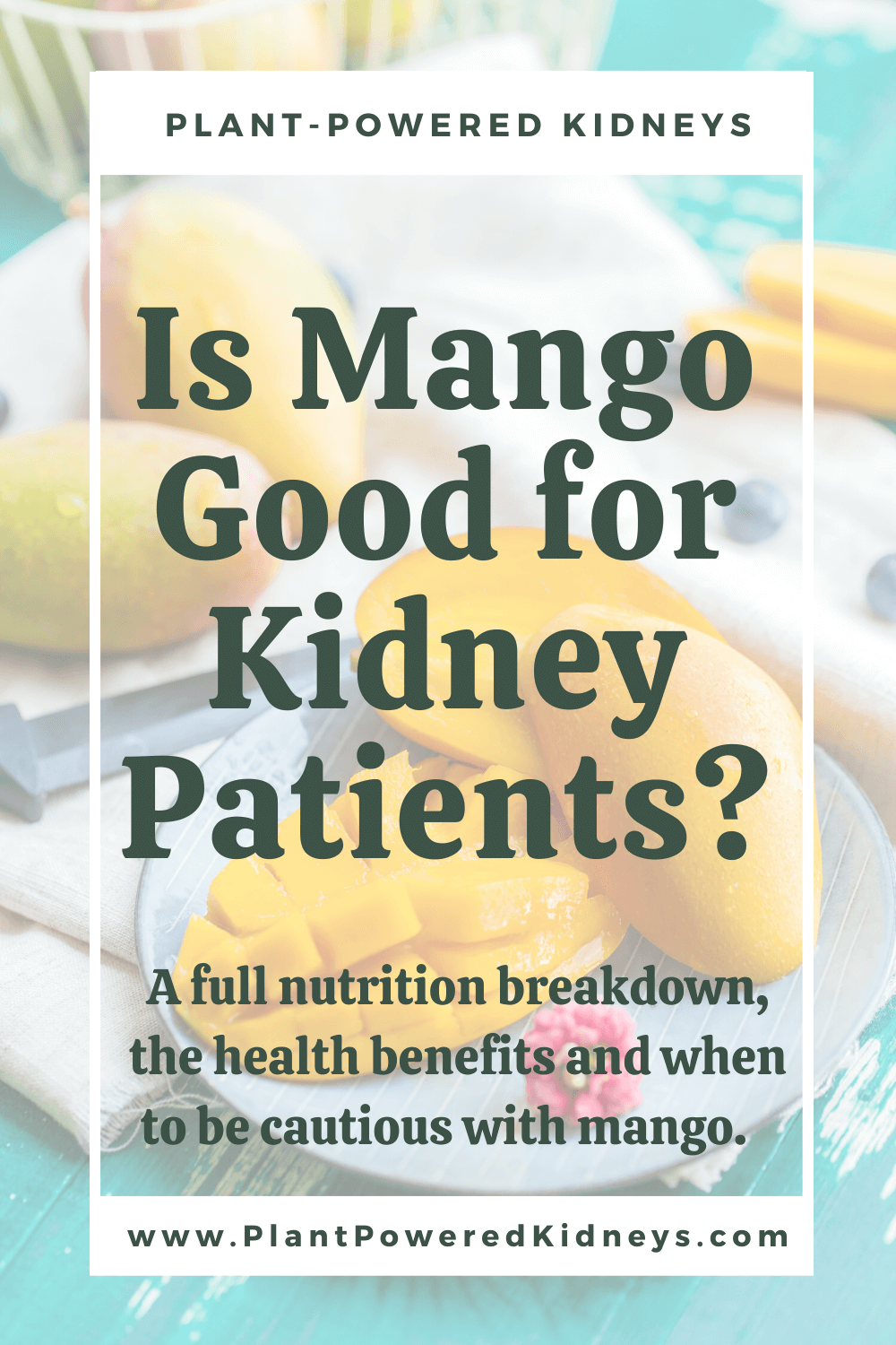 Is Mango Good for Kidney Patients? PlantPowered Kidneys Renal Diet