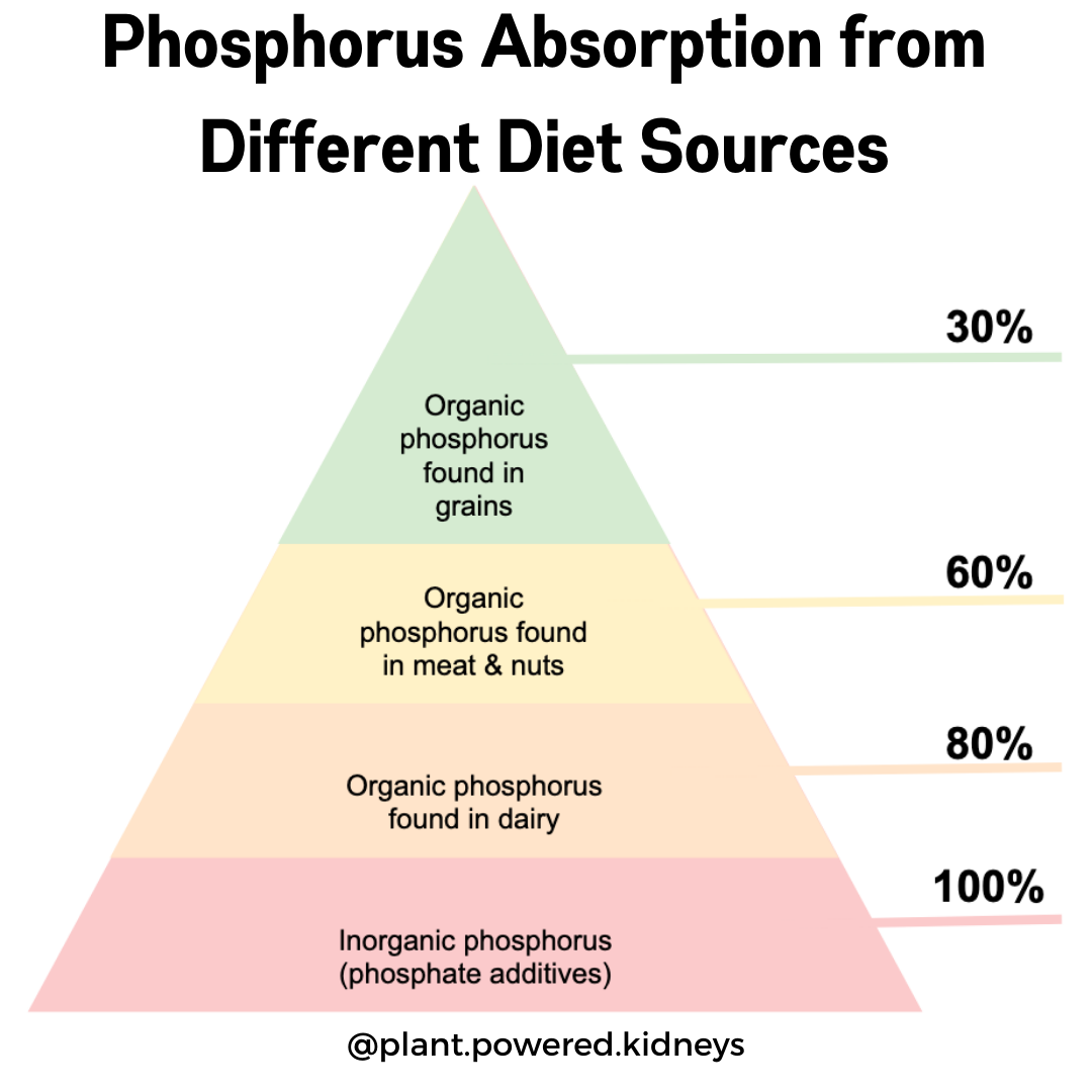 Best Bread for Kidney Disease Understanding Your Options Plant