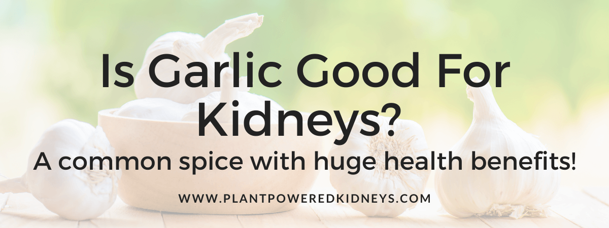 Is Garlic Good For Kidneys Health Benefits For Kidney Patients is-garlic-good-for-kidneys-health-benefits-for-kidney-patients
