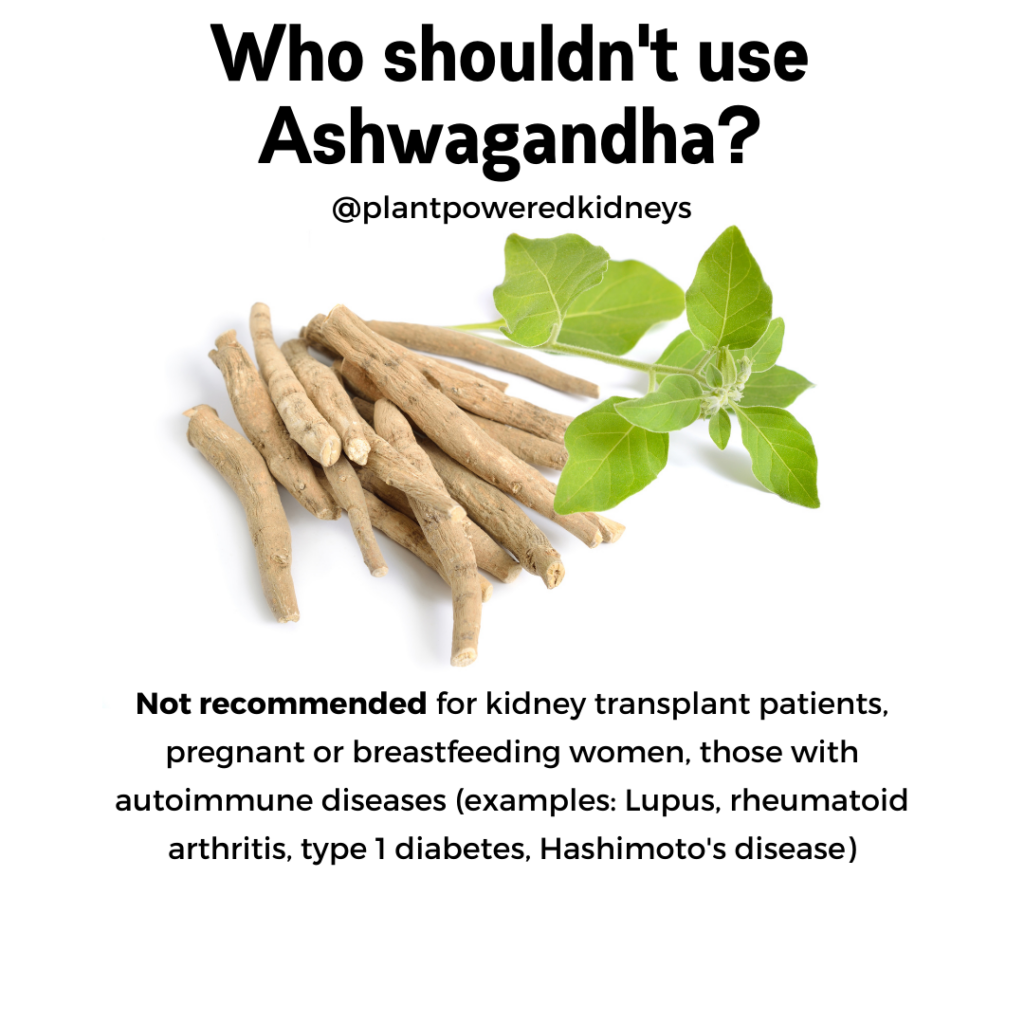 Ashwagandha For Kidney Patients A Dietitian s Perspective ashwagandha-for-kidney-patients-a-dietitian-s-perspective
