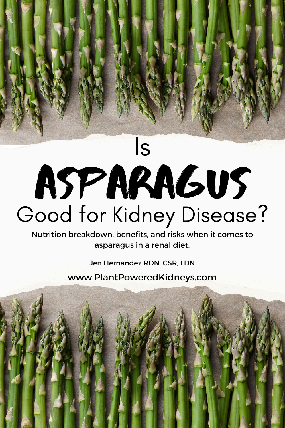 Is asparagus good for kidney disease? Nutrition breakdown, benefits, and risks when it comes to asparagus in the renal diet.

Photo description: lined asparagus tips on torn parchment paper bordering top and bottom of the title heading