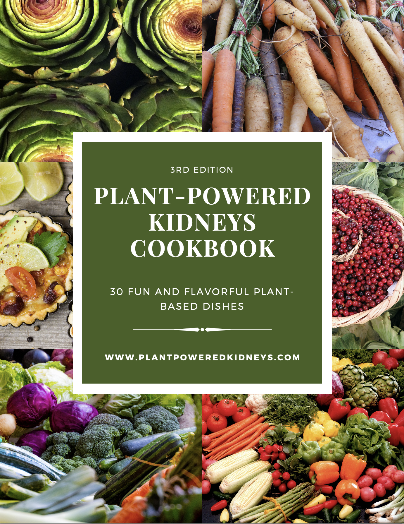 Plant-Powered Kidneys 3rd edition eCookbook