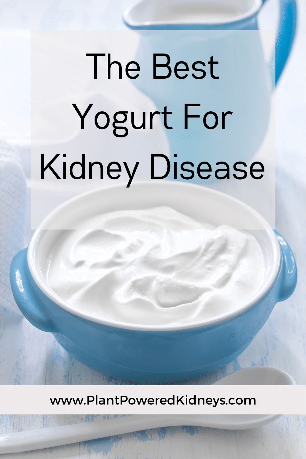 The Best Yogurt For Kidney Disease