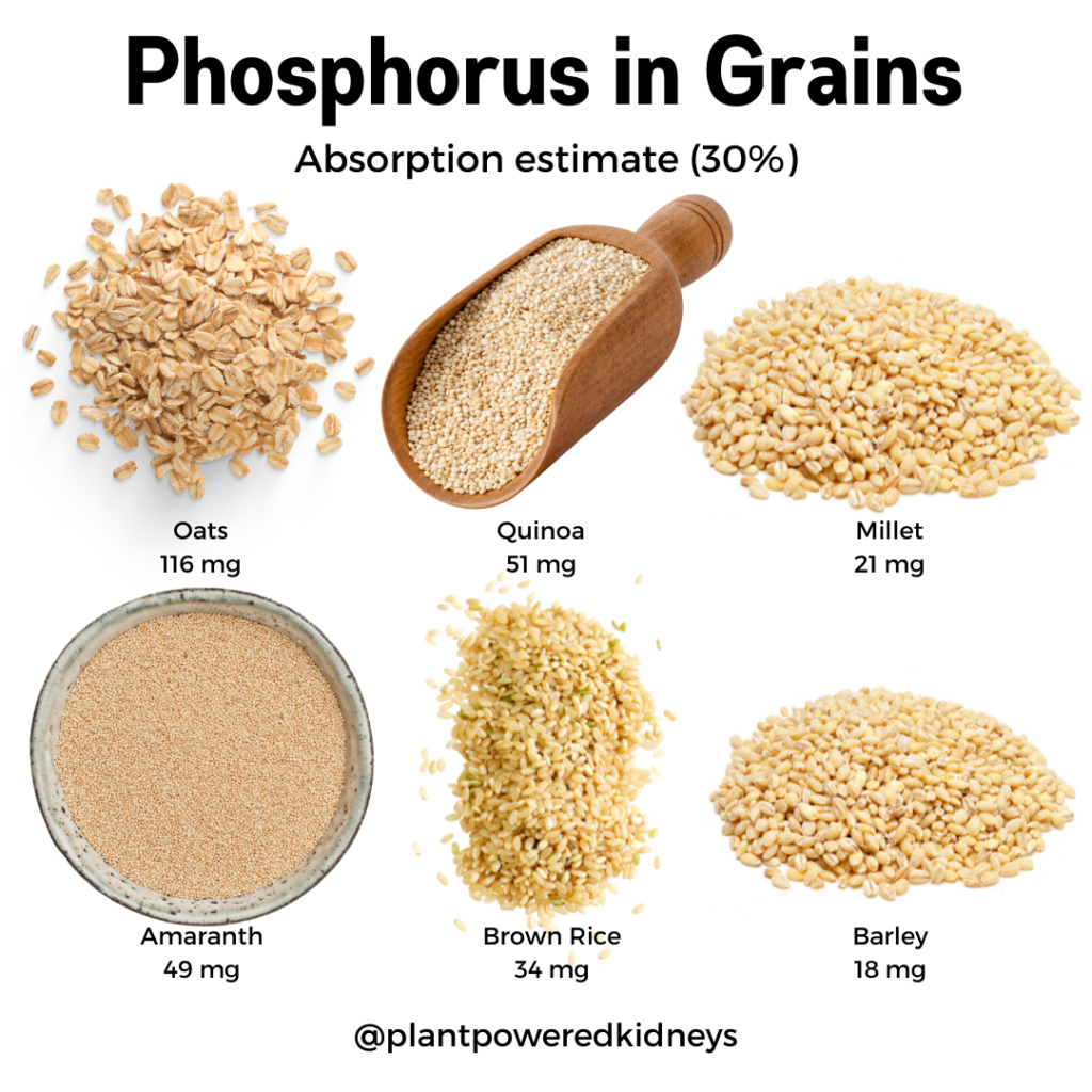Low Phosphorus Foods Your Guide to The Low Phosphorus Diet Plant
