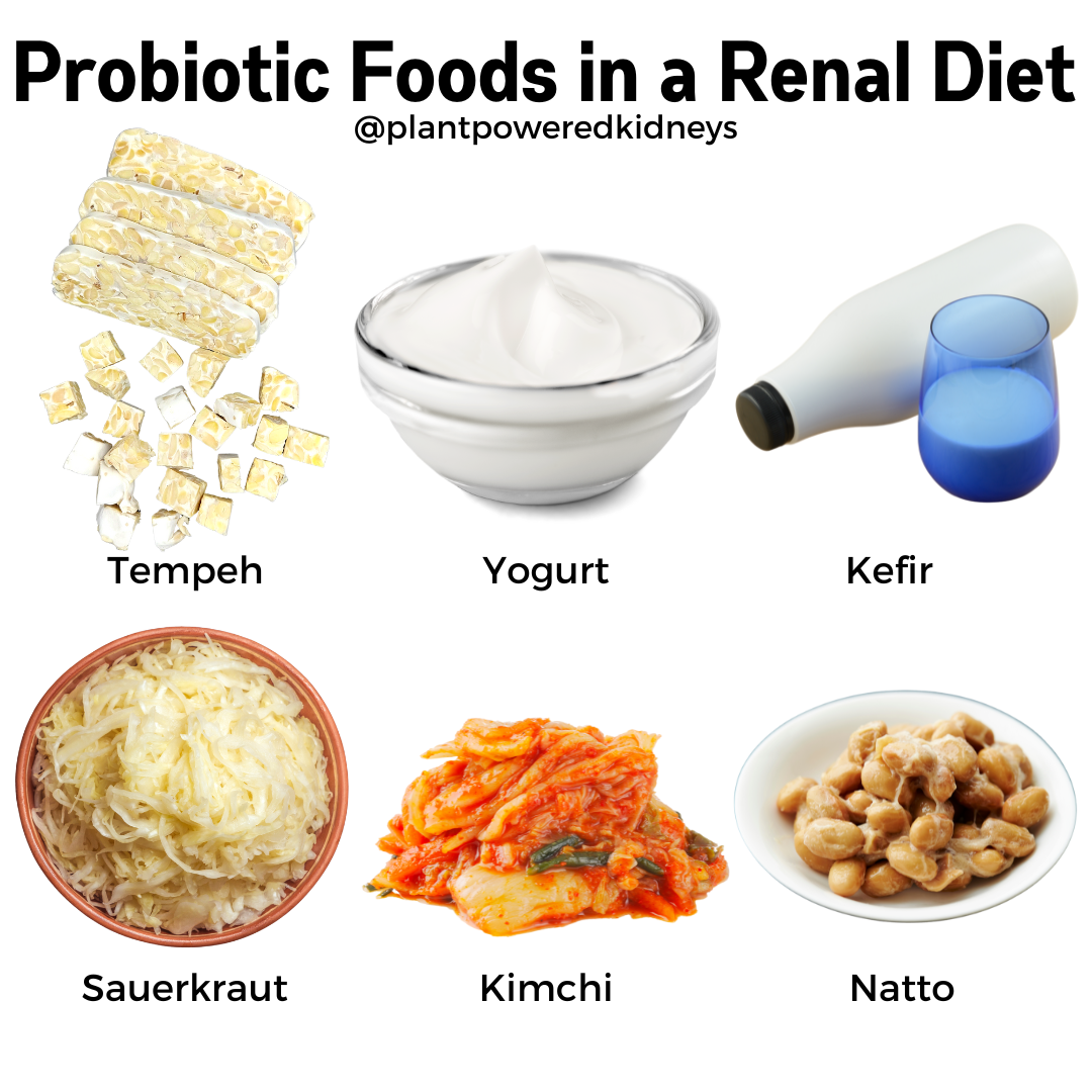 Examples of probiotic foods in a renal diet:
- tempeh
- yogurt
- kefir
- sauerkraut
- kimchi
- natto