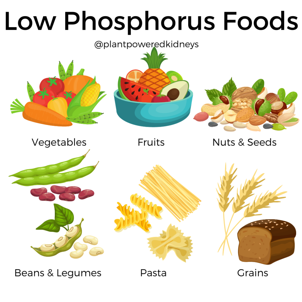 Low Phosphorus Foods Your Guide to The Low Phosphorus Diet Plant