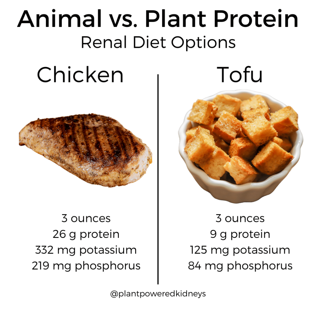 The Low Protein Diet for Kidney Disease Expert Tips from a Dietitian