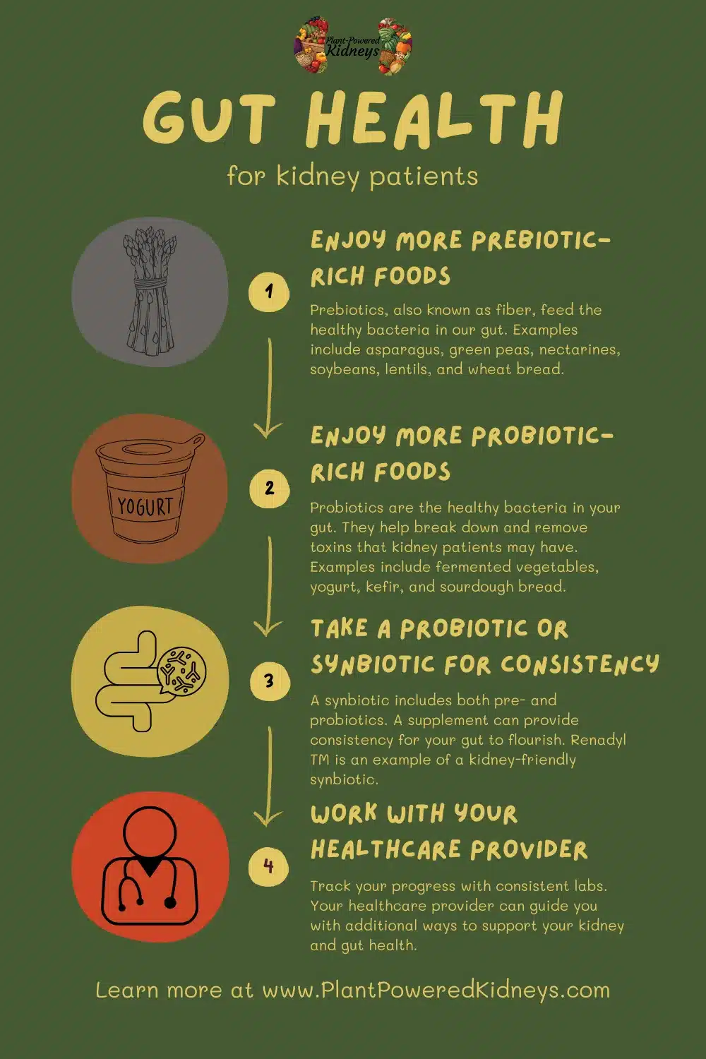 Gut health for kidney patients:
1) Enjoy more prebiotic-rich food. Prebiotics, also known as fiber, feed the healthy bacteria in our gut. Examples include asparagus, green peas, nectarines, soybeans, lentils, and wheat bread.
2) Enjoy more probiotic-rich foods. Probiotics are the healthy bacteria in your gut. They help break down and remove toxins that kidney patients may have. Examples include fermented vegetables, yogurt, kefir, and sourdough bread.
3) Take a probiotic or synbiotic for consistency. A synbiotic includes both pre- and probiotics. A supplement can provide consistency for your gut to flourish. Renadyl TM is an example of a kidney-friendly synbiotic.
4) Work with your healthcare provider. Track your progress with consistent labs. Your healthcare provider can guide you with additional ways to support your kidney and gut health.