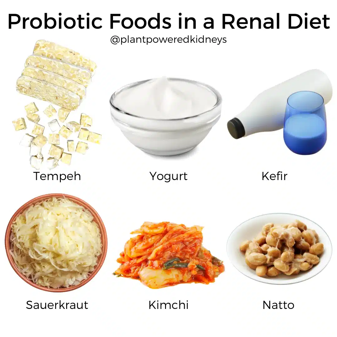 Probiotic foods in a renal diet:
- Tempeh
- Yogurt
- Kefir
- Sauerkraut
- Kimchi
- Natto